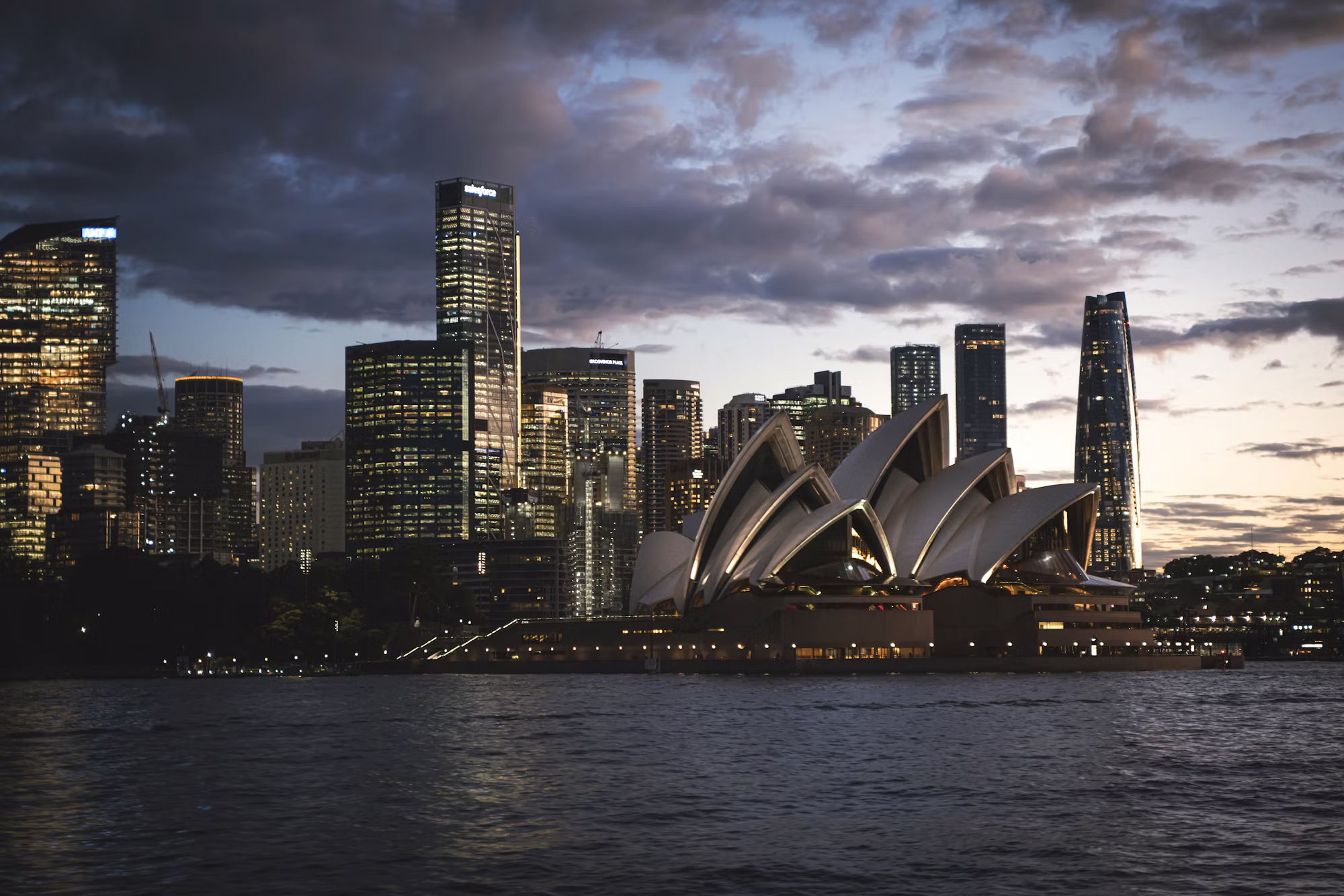 料理の喜び：料理探査の旅