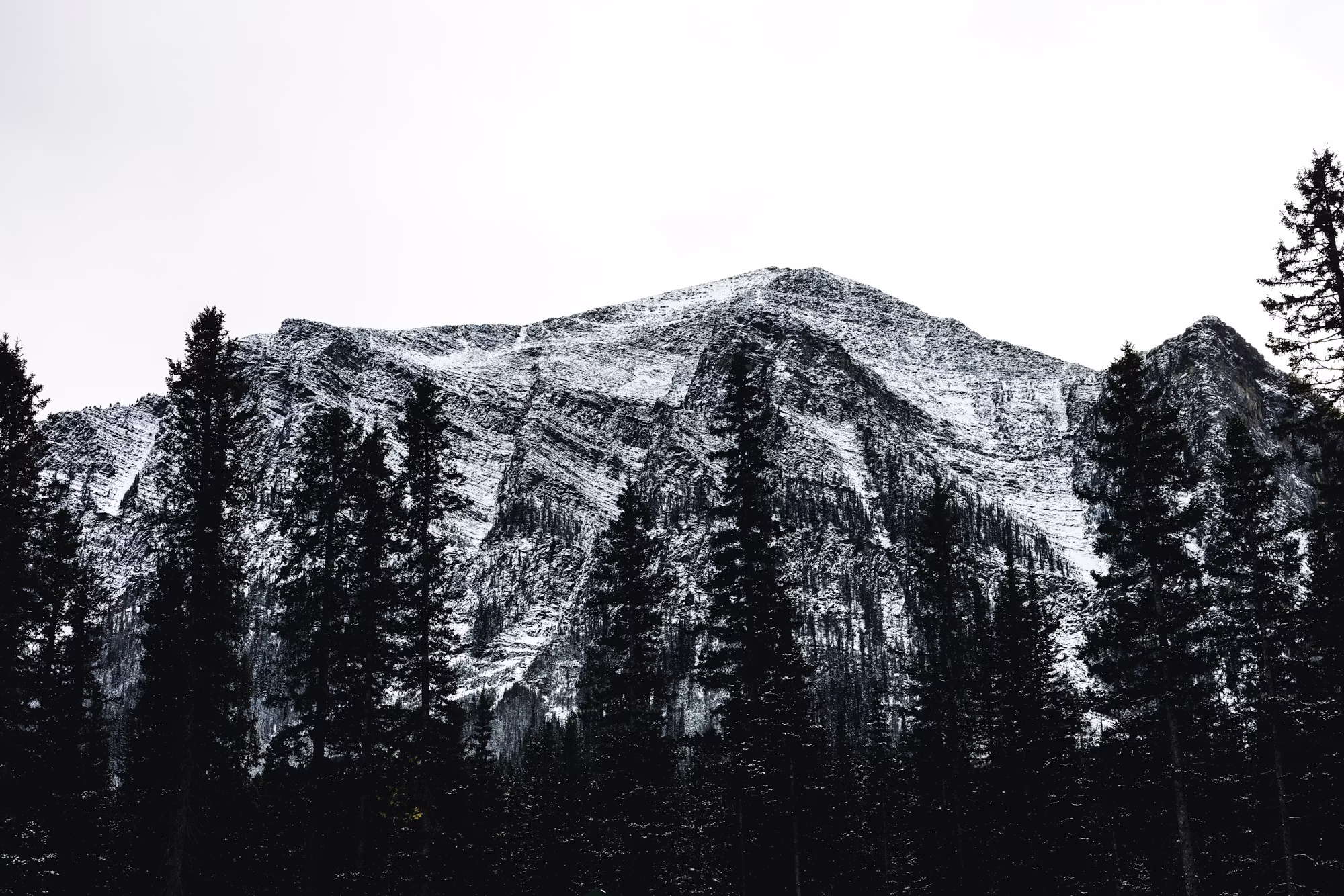 キャンプの必需品: 素晴らしいアウトドアを楽しむための総合ガイド